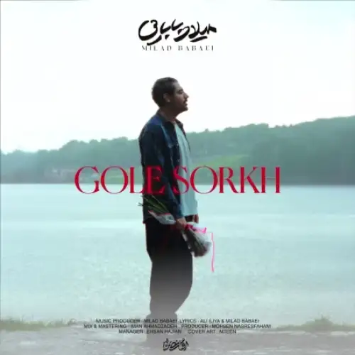 گل سرخ